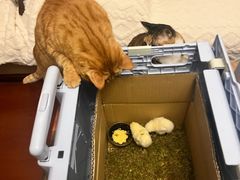 -新荟城(望京店)