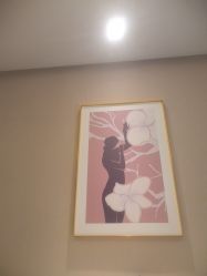 -SILKTONE诗丽堂美容