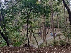 -原山国家森林公园