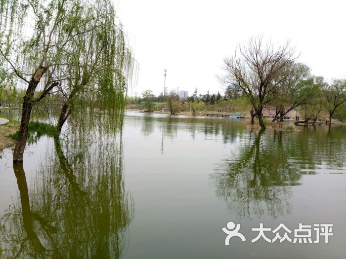 鄭州西流湖公園圖片 - 第9張