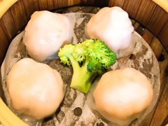 -粤港餐厅(禹州商业广场店)