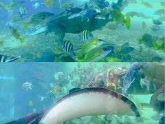 -广州海洋馆