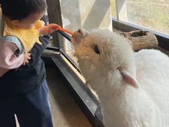 -昆明大悦城未来动物城(螺蛳湾中心店)