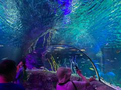 -沈阳海洋探索中心