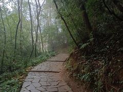 -都江堰中华大熊猫苑