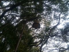 -普陀山风景名胜区-法雨禅寺