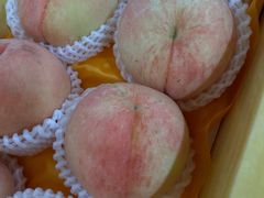 -南汇水蜜桃采摘(大团店)