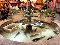 -万里闯关东铁锅炖菜馆(高新旗舰店)