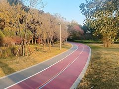 -澹台湖公园