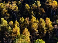 -灵山
