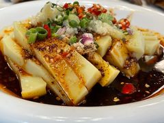 -龙翔山庄雷鸡肉(青城后山泰安古镇店)