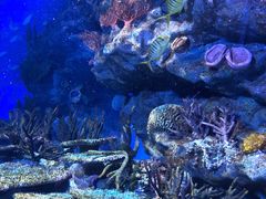 -海合安武汉极地海洋公园