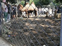 -长白岛森林公园