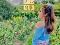 -人民公园(罗湖区)