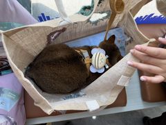 -芭比堂动物医院·CT·微创中心(新顺分院)