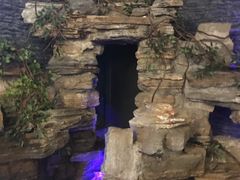 -明日世界密室轰趴·剧本桌游·箭馆团建(国贸店)