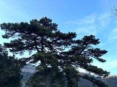 -香山公园