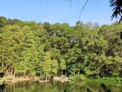 -梧桐山风景名胜区