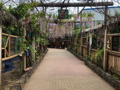 -呀路古热带植物园-恐龙馆