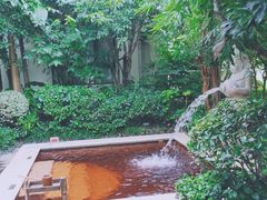 -苏州湾·王焰温泉