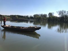 -溱湖国家湿地公园