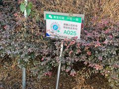 -万达广场·停车场