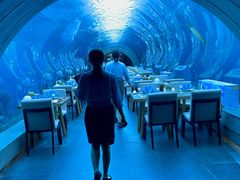 -涛·海底餐厅·美人鱼·自助餐·海底隧道(三亚海棠湾洲际度假酒店)