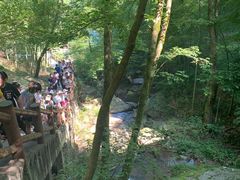 -藏龙百瀑风景区