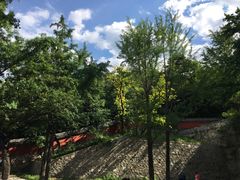 -阳台山自然风景区