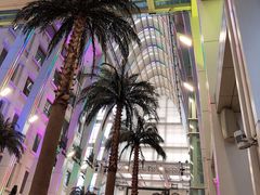 -绮梦西湖·云端餐厅(歌德店)