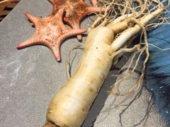 -千岛蚝高压锅生蚝·人参火锅(白云万达店)