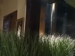-兮禾酒馆(护国路店)