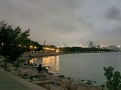 -深圳湾公园(南山区)