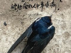 -建水文庙