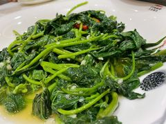 蒜炒番薯叶-顺德渔村·岭南一号