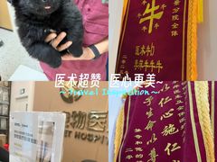 -瑞派康怡24h宠物医院·犬猫医疗中心·微创绝育(瑞景分院)