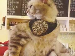 -猫色咖啡·猫咖