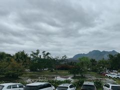 -中国科学院西双版纳热带植物园