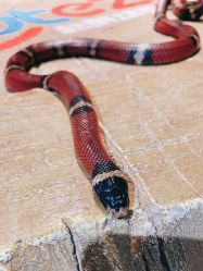 -酷嗒动物文化乐园(cutezoo西溪乐天城店)