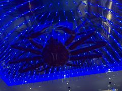 -蟹之国·精品蟹料理(极地店)