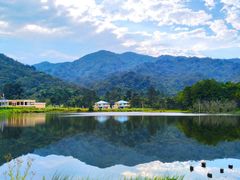 -海南热带雨林国家公园吊罗山景区