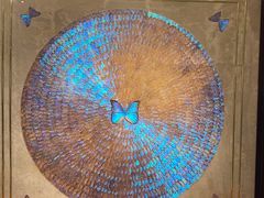 -上海昆虫博物馆