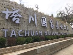 -塔川景区