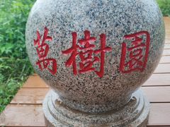 -清宫宴酒楼·计氏松枝包子