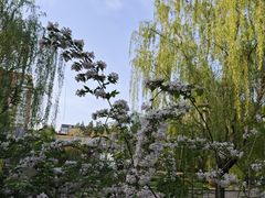 -元大都城垣遗址公园