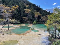 -黄龙山原始森林景区
