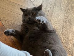 -Me Coffee下午茶艺术空间