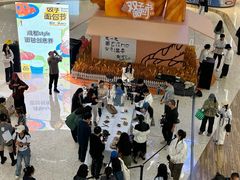 -合景·悠方(成都店)
