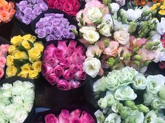 -双季花艺园艺市场(浦东店)
