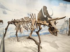 -辽宁古生物博物馆